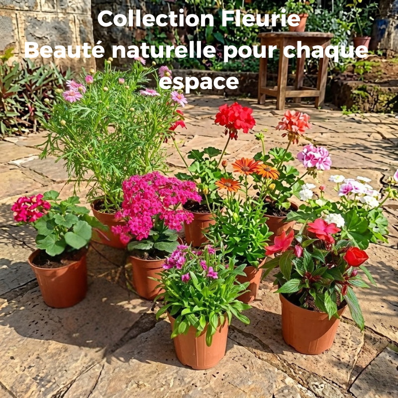 باك النباتات المزهر 8 | 299 dollars | Fleur Verte